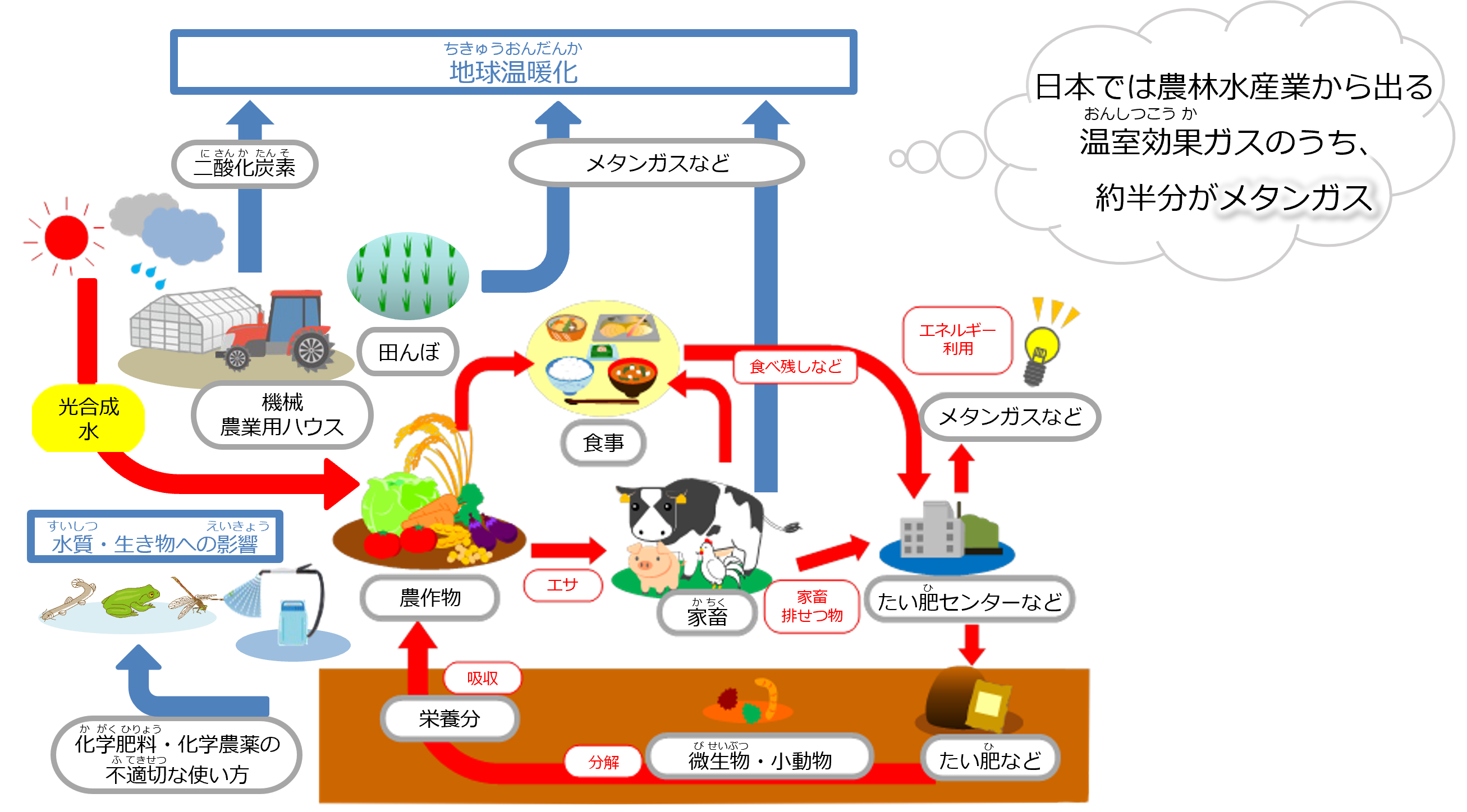 環境との関わり