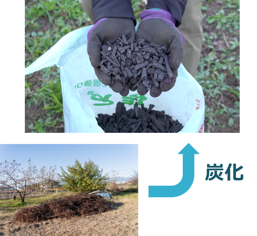 バイオ炭