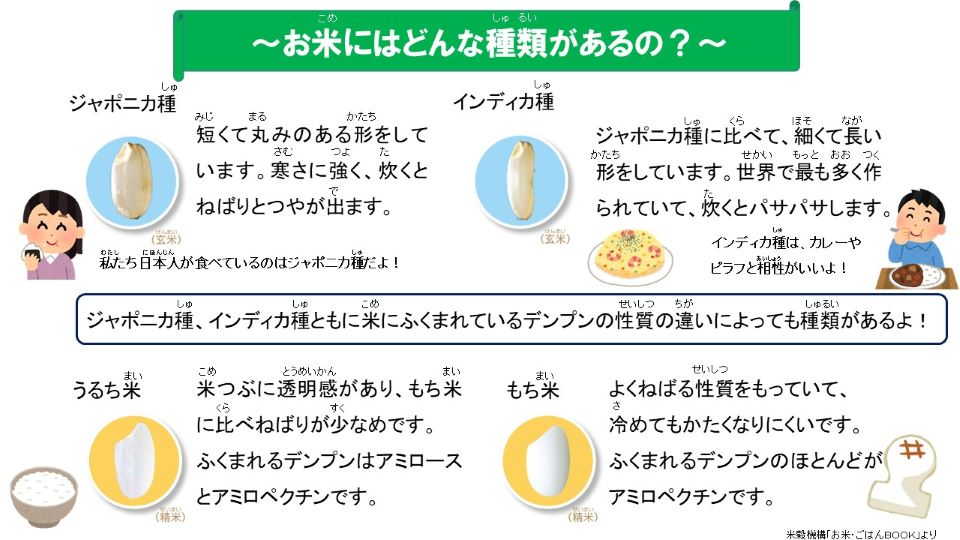 お米にはどんな種類があるの？ジャポニカ種　インディカ種　ジャポニカ種、インディカ種ともに米にふくまれているデンプンの性質の違いによっても種類があるよ！うるち米　もち米
