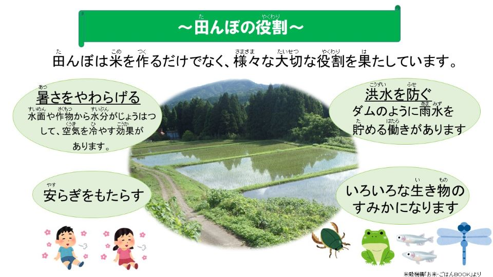 田んぼの役割　田んぼは米を作るだけでなく、様々な大切な役割を果たしています。暑さをやわらげる。洪水を防ぐ。安らぎをもたらす。いろいろな生き物のすみかになります。