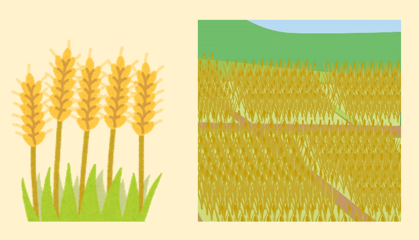 麦のイラスト