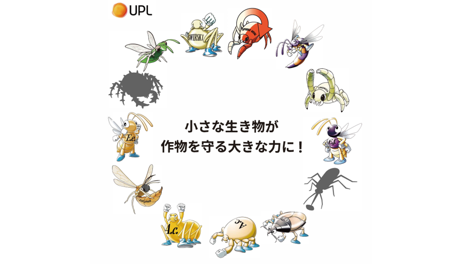 さまざまな昆虫のイラスト