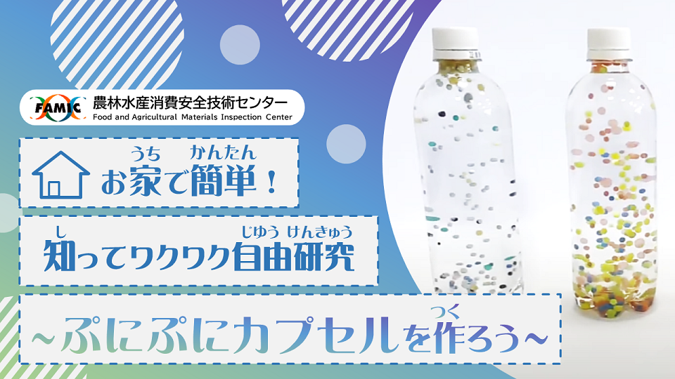 ペットボトルに入ったカラフルなぷにぷにカプセル