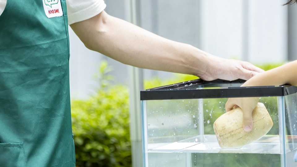 蓮根を水に浮かべる写真