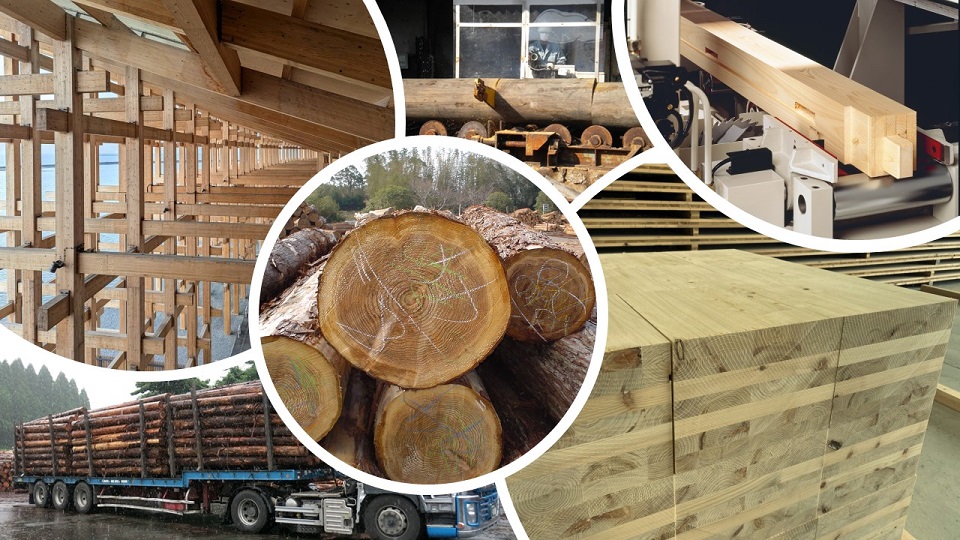 様々な木材の写真