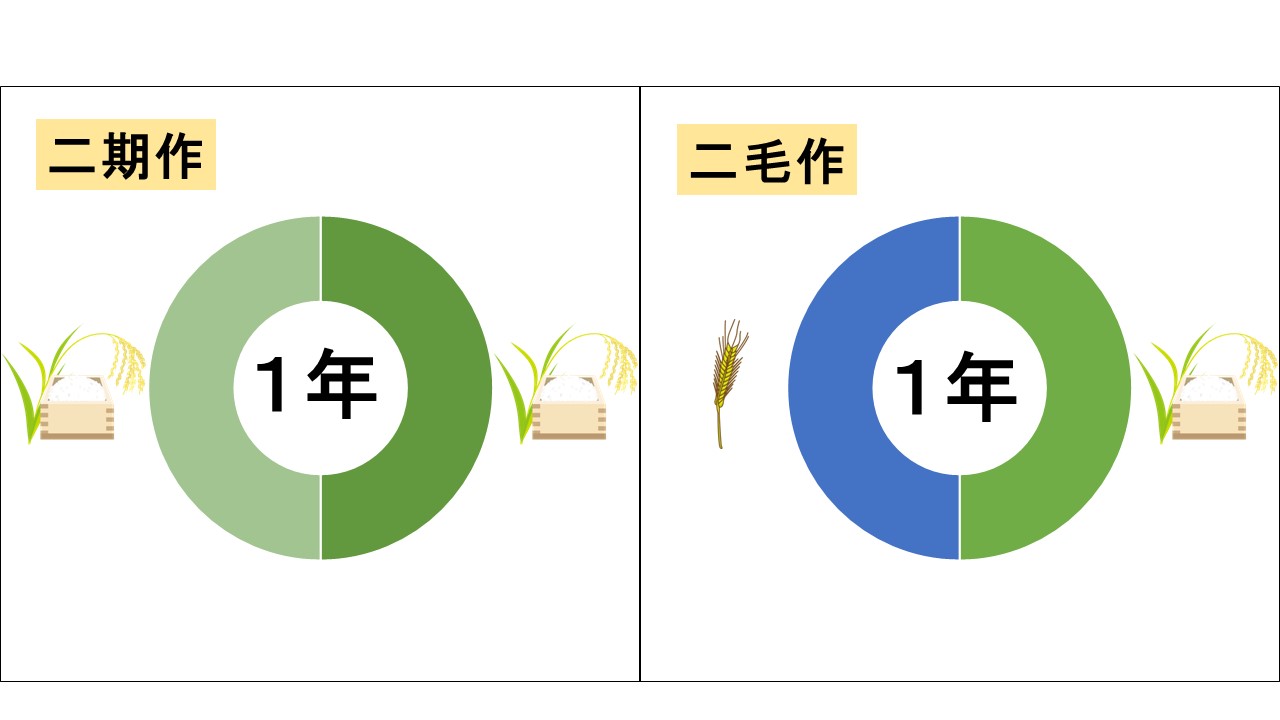 二期作と二毛作の説明
