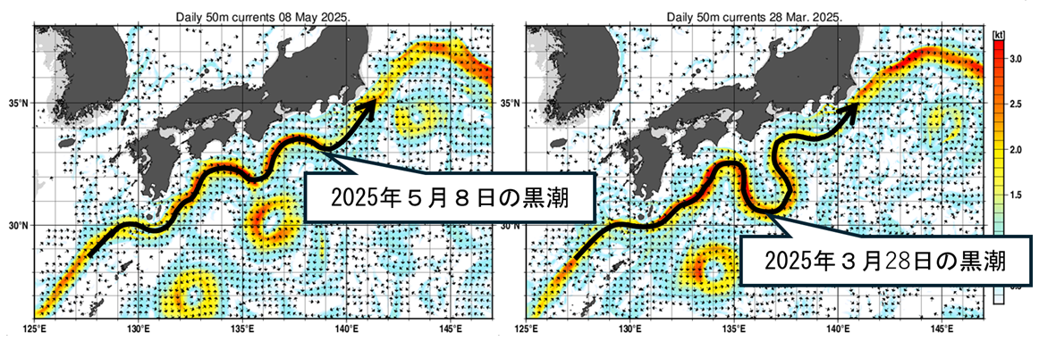 黒潮大蛇行の解説図