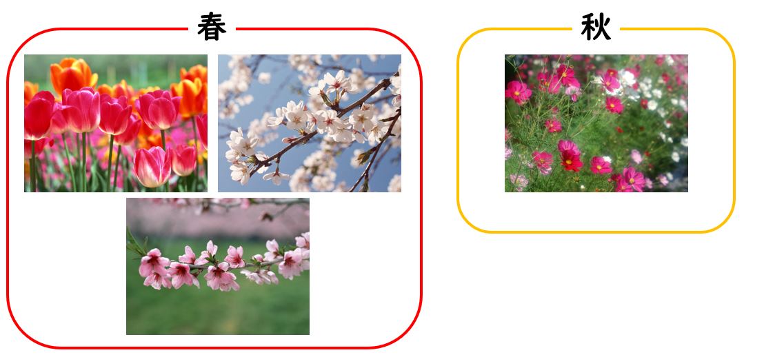 チューリップ、サクラ、モモは春に咲き、コスモスは秋に咲くことを示す図