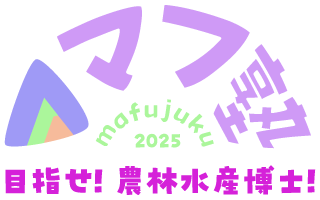 マフ塾2025