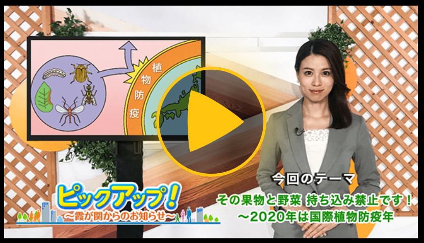 ピックアップ！霞が関からのお知らせ