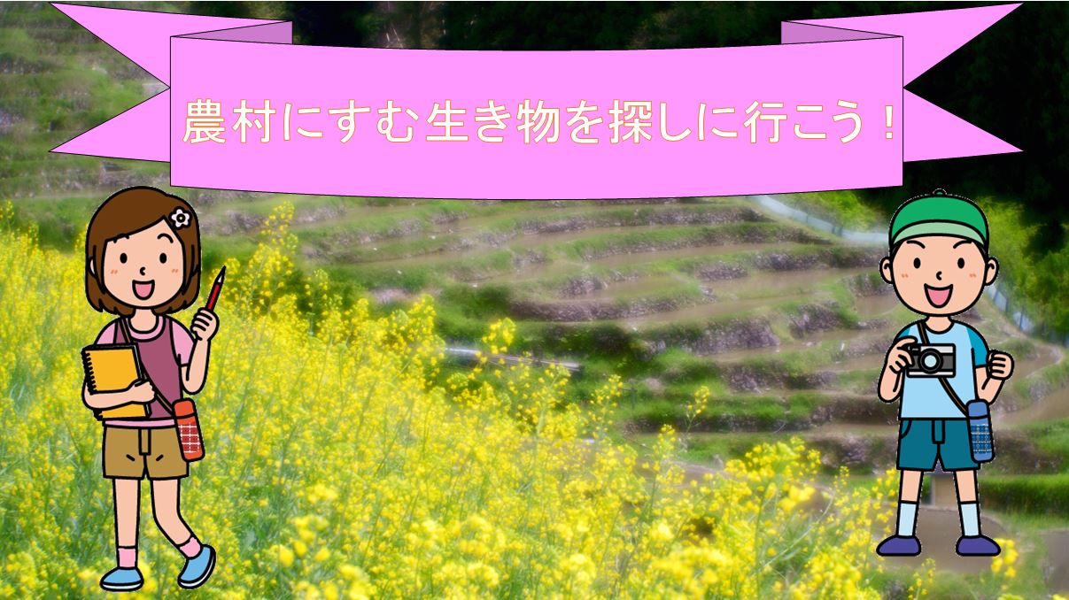 農村にすむ生き物
