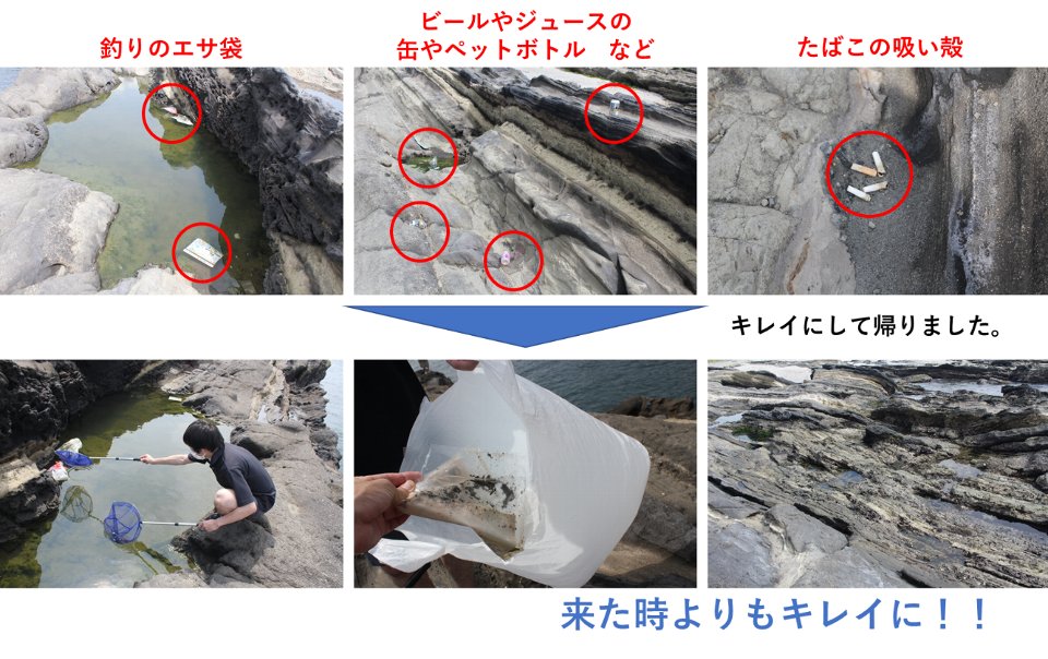 潮だまりに落ちているゴミ