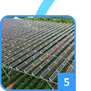 夏まふり2020 すごろく5