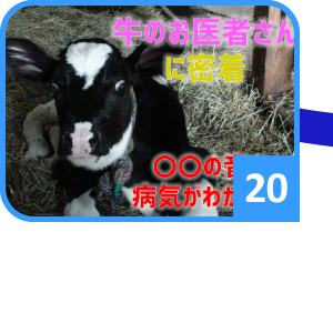 夏まふり2020 すごろく20