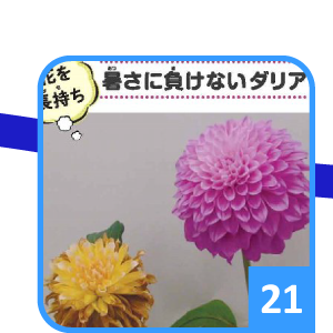 夏まふり2020 すごろく21
