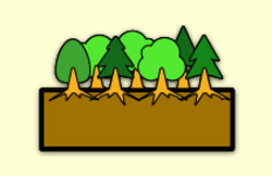 森林のイラスト