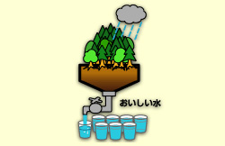 雨が降って森林を通して水ができるまでの図