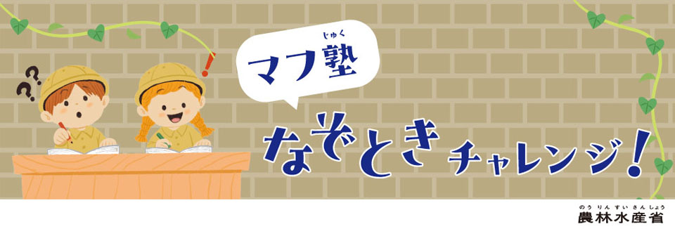 マフ塾なぞときチャレンジ！