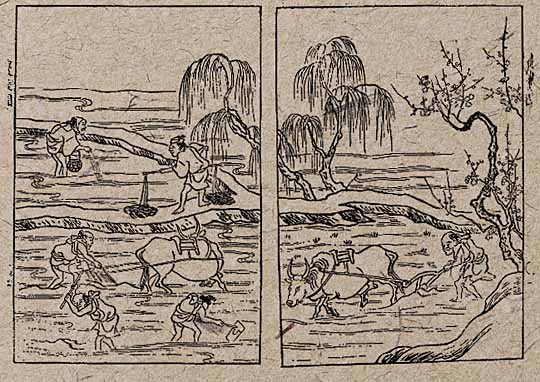 コメ作りが描かれた古い絵