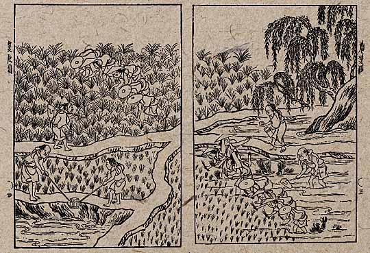 古い農業風景の線画イラスト