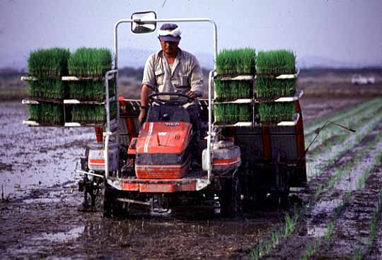 田植え機を使っている写真