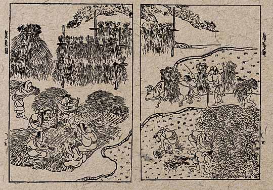 古い農業風景の線画イラスト