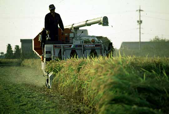 コンバインで稲刈りをする写真