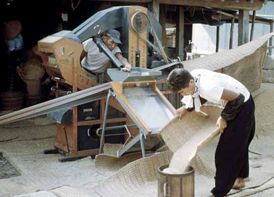 昭和時代のもみすり機をつかった作業の写真