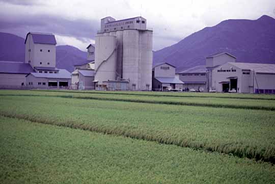 カントリーエレベーターの外観