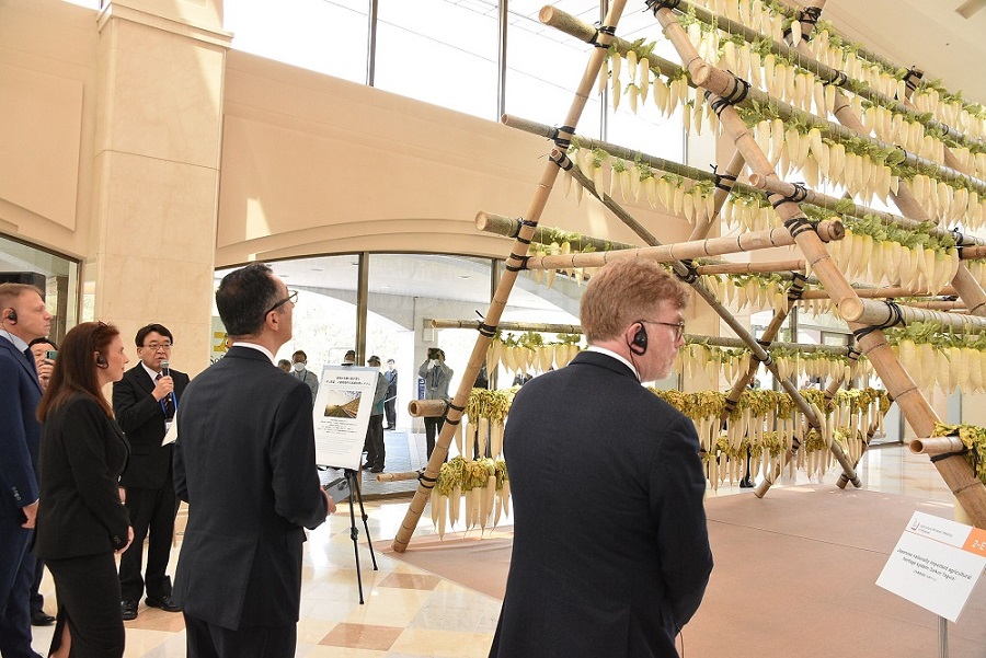 大根やぐらの展示