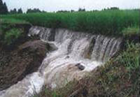 集中豪雨による畦畔の崩壊