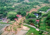 地震により誘発された地すべり