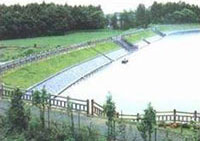 整備されたため池