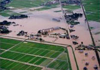 台風による農地の湛水状況