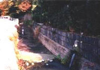 生活排水が流入する農業水路