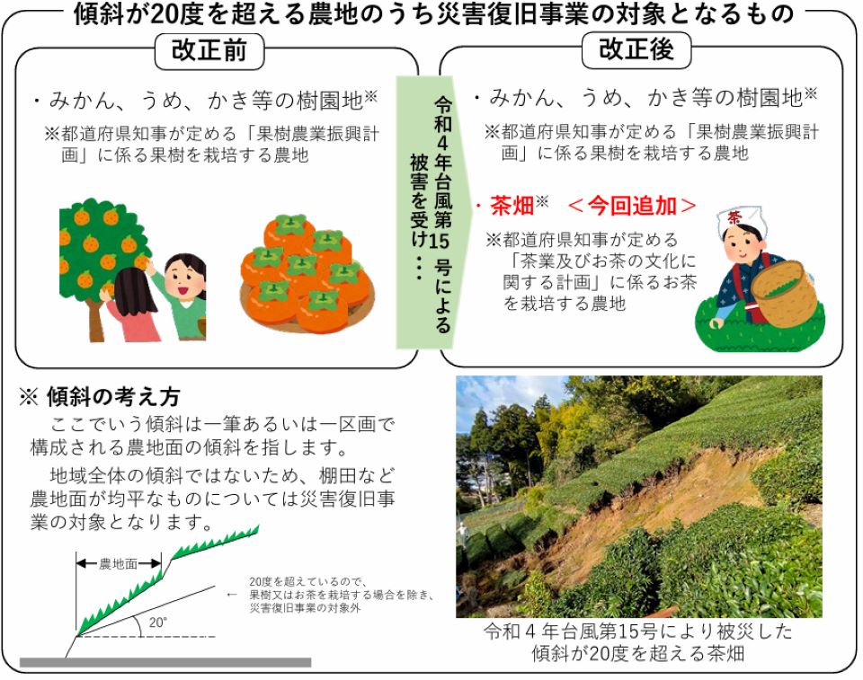 傾斜が20度を超える農地のうち、災害復旧事業の対象となる範囲の見直しを説明した資料です。従来は、みかんやかきなどの果樹園が対象でしたが、改正後は茶畑も新たに対象に追加されました。対象となる農地は、都道府県の計画に基づくものに限られます。図では傾斜の測り方や、実際に被災した急斜面の茶畑の事例も示されています。