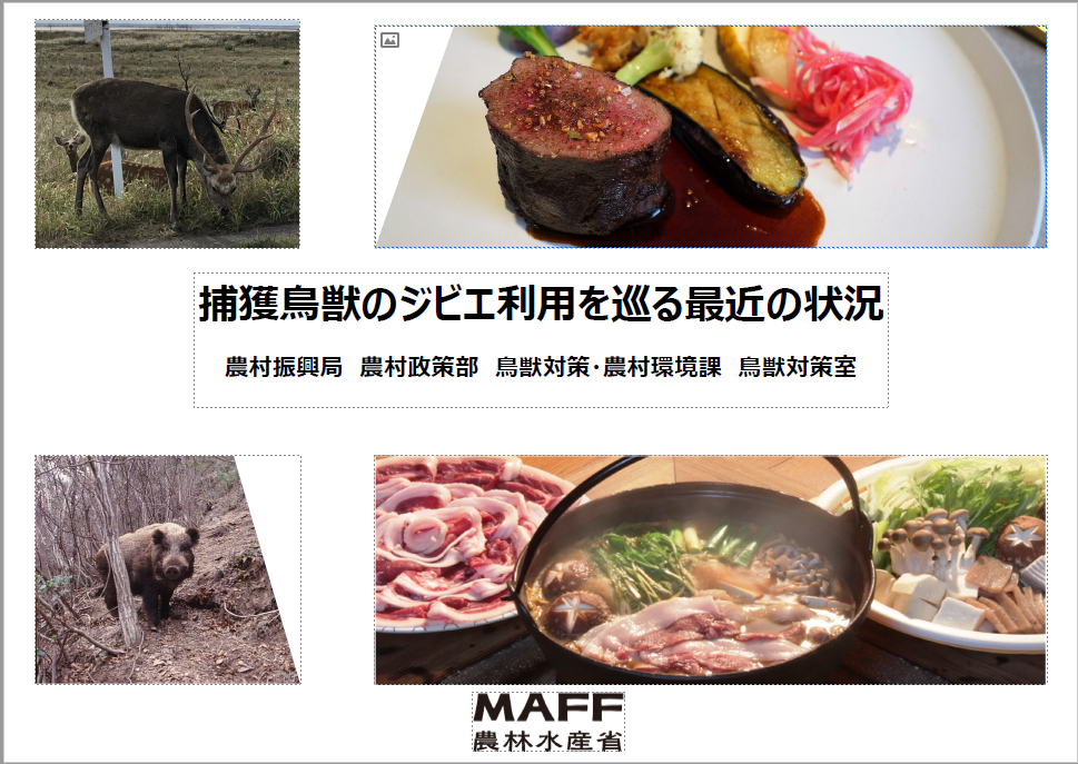 最近の状況の表紙写真