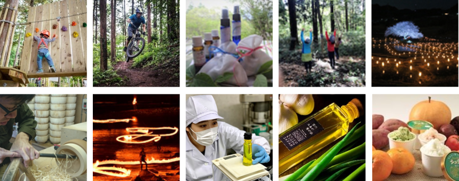 図2.農山漁村発イノベーションの取組みのイメージ