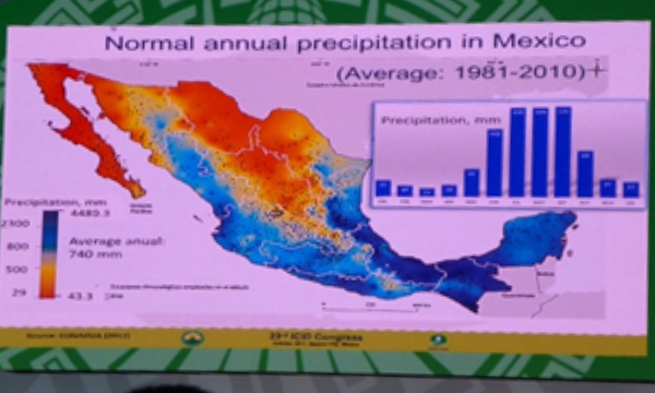 日本国内委員が勤めたICID役員、部会議長等