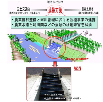 農業水路と河川間などの魚類の移動障害を解消するための各種事業連携イメージ