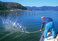 福井見どころ１