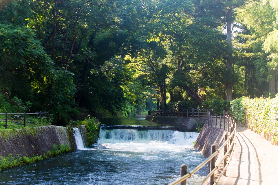 大崎見どころ２