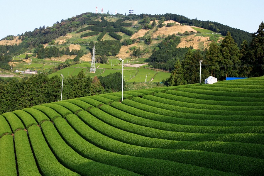 静岡県掛川周辺地域見どころ１