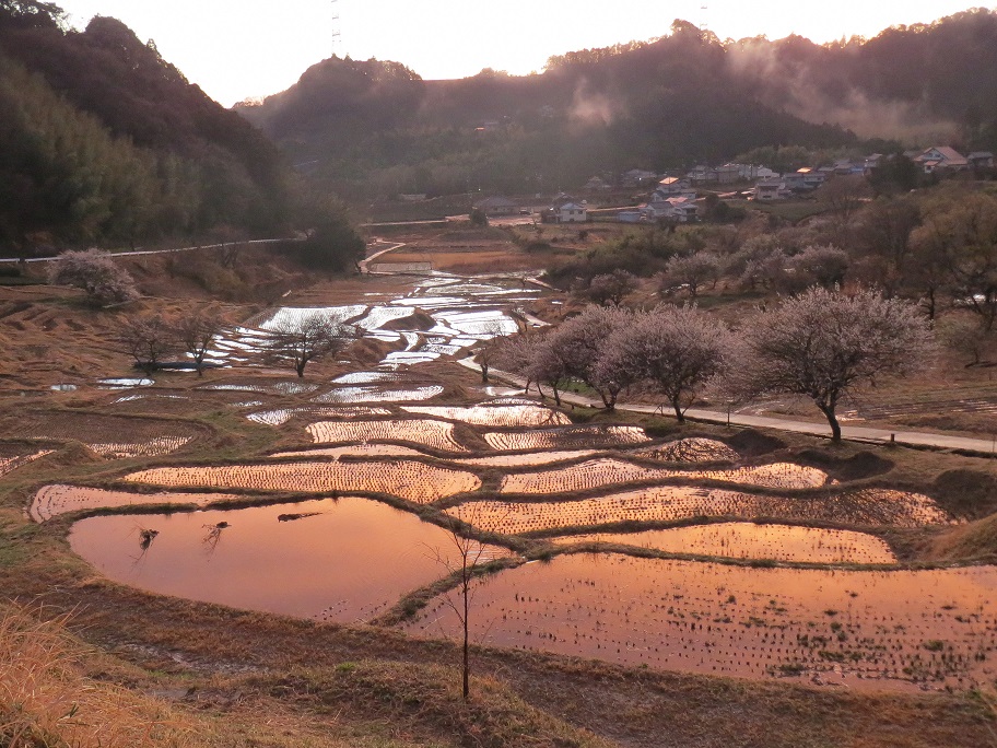 静岡県掛川周辺地域見どころ２