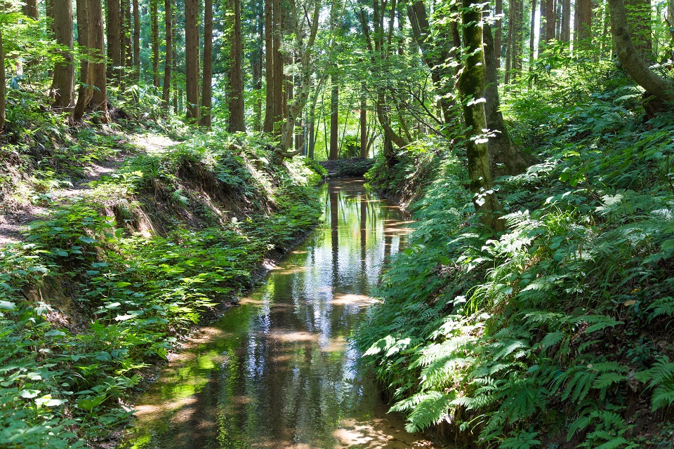 大崎見どころ１