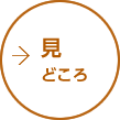 見どころ