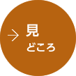 見どころ