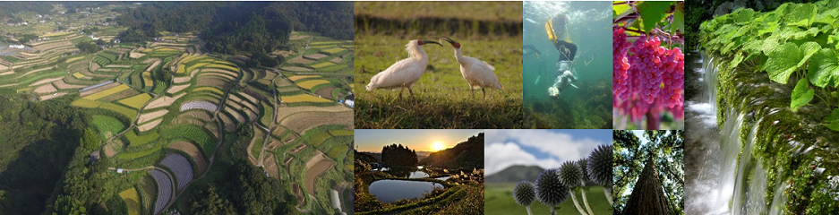 世界農業遺産・日本農業遺産認定地域の写真