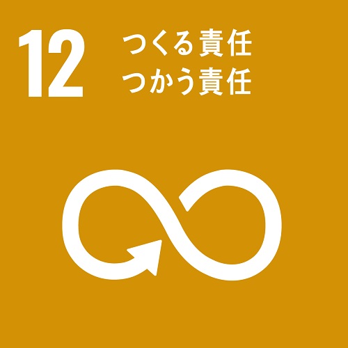 SDGs_icon_12