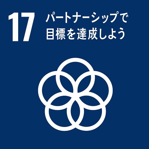 SDGs_icon_17